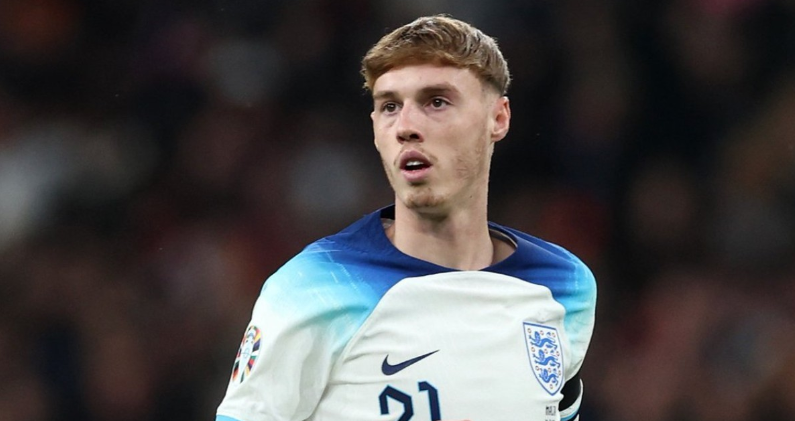 的球队树立 的球队树立