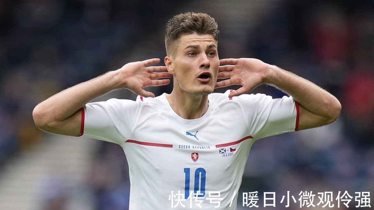 质培养上 质培养上